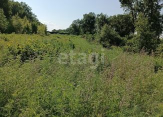 Продается земельный участок, 5.6 сот., посёлок Плодопитомник, Центральная улица