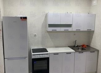 Аренда 1-комнатной квартиры, 46 м2, Казань, ЖК Грин, улица Архитектора Гайнутдинова, 26