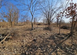 Продажа участка, 10 сот., Артём, СТ Светофор-2, 79