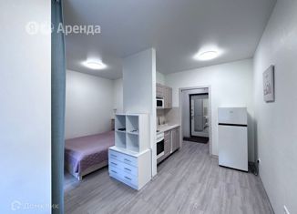 Квартира в аренду студия, 25 м2, Санкт-Петербург, Дизельный проезд, 11к3