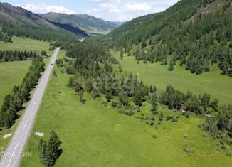 Земельный участок на продажу, 155 сот., село Топучая, Центральная улица