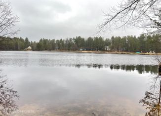 Продаю дом, 40 м2, СНТ Строитель, Зелёная улица, 9-й квартал