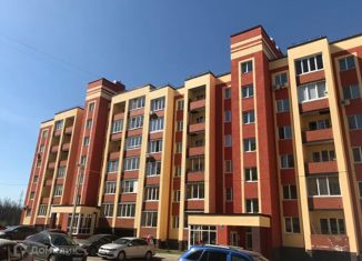 Продажа 2-комнатной квартиры, 51.5 м2, село Михайловка, Сливовая улица, 10