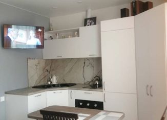 Продажа однокомнатной квартиры, 24.6 м2, село Черешня, Владимировская улица, 141