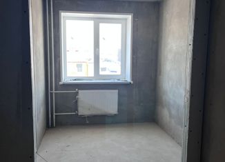 Продается 1-комнатная квартира, 27.9 м2, деревня Хохряки, Муромская улица, 5