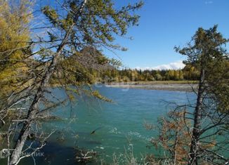 Продаю участок, 346 сот., село Чаган-Узун