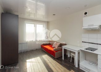 Продажа квартиры студии, 24.4 м2, Новосибирск, Дивногорская улица, 150/2, Дивногорская улица