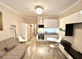 Сдается квартира студия, 22 м2, посёлок Парголово, Заречная улица, 15к1