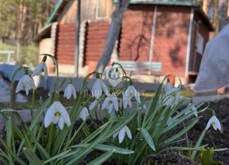 Продаю дом, 50 м2, СНТ Антей, 8-я улица