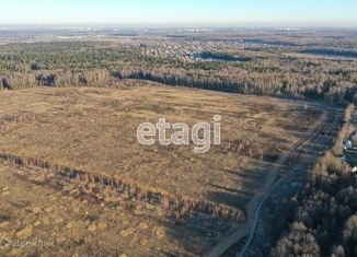 Продажа земельного участка, 6.33 сот., деревня Елизарово