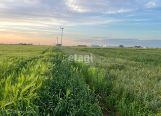 Продажа земельного участка, 10 сот., село Великое, Урожайная улица