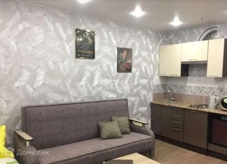 Аренда квартиры студии, 27 м2, Новосибирск, Железнодорожная улица, 15/1, метро Гагаринская