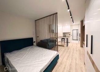 Сдаю в аренду квартиру студию, 37 м2, Санкт-Петербург, улица Прокофьева, 7к2, метро Парнас