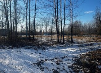 Продажа земельного участка, 8 сот., СНТ Раздольное