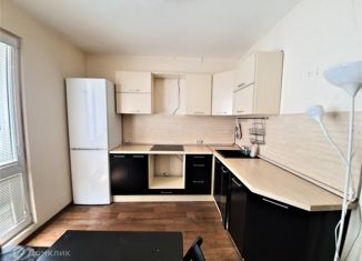 1-комнатная квартира в аренду, 37 м2, Санкт-Петербург, Кушелевская дорога, 3к2, ЖК Калина-парк