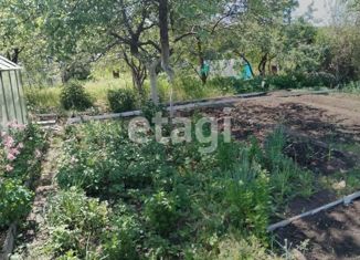 Земельный участок на продажу, 4 сот., СПК Северный-1, СПК Северный-1, 303