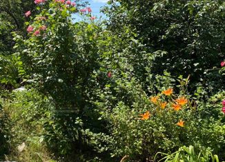 Дом на продажу, 53.1 м2, село Гайдук, улица Ленина, 8