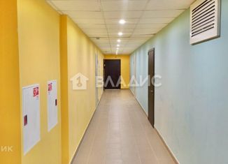 Квартира на продажу студия, 25.51 м2, Мурино, Екатерининская улица, 3/4, ЖК Территория