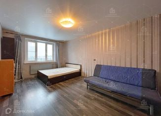 Однокомнатная квартира на продажу, 39 м2, Санкт-Петербург, метро Озерки, Новоколомяжский проспект, 12к2