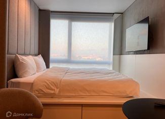 Продается квартира студия, 19.1 м2, Санкт-Петербург, улица Салова, 61, метро Бухарестская