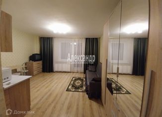 Квартира в аренду студия, 26 м2, Мурино, улица Шувалова, 16/9, ЖК Созвездие