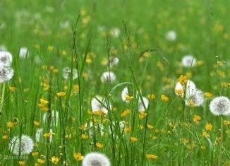 Продаю участок, 6 сот., деревня Каравай, Центральная улица