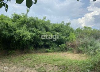 Участок на продажу, 4.94 сот., СПК Долина, Виноградная улица