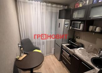 Однокомнатная квартира на продажу, 28.9 м2, Новосибирск, улица Гоголя, 201, метро Маршала Покрышкина