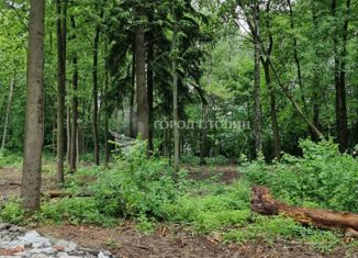 Участок на продажу, 4.15 сот., деревня Малое Видное, ТЛПХ Труженик, 31