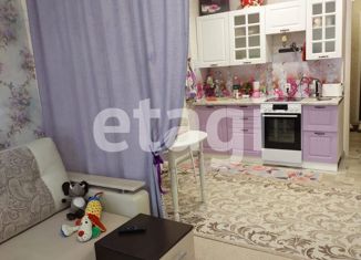 Сдам в аренду квартиру студию, 29 м2, Красноярск, Соколовская улица, 70, жилой район Солнечный