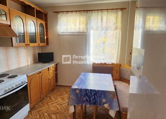 Сдача в аренду двухкомнатной квартиры, 54.4 м2, Санкт-Петербург, Школьная улица, 112, метро Беговая