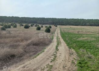 Продается участок, 172 сот., КСП Память Ленина