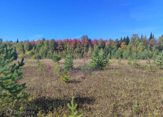 Продам земельный участок, 20 сот., деревня Гавшонки