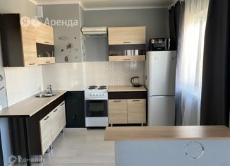 Сдается в аренду двухкомнатная квартира, 45 м2, Санкт-Петербург, Выборгское шоссе, 35к1, муниципальный округ Шувалово-Озерки