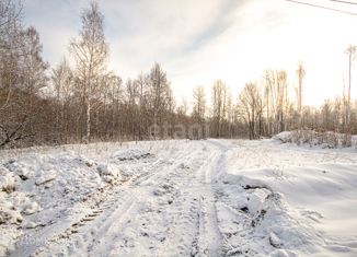 Продам участок, 9.9 сот., СНТ Рябинка