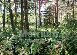 Участок на продажу, 79 сот., рабочий посёлок Новоивановское, Кленовая улица