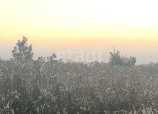 Продается земельный участок, 6 сот., деревня Пасынково
