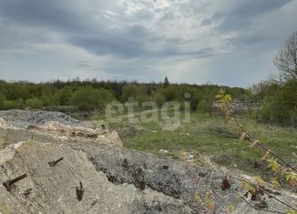 Продажа земельного участка, 872.1 сот., деревня Горбачевка, деревня Горбачёвка, 9