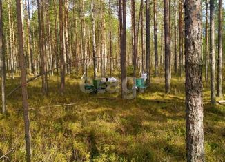 Продается земельный участок, 13.77 сот., посёлок городского типа Верхняя Максаковка