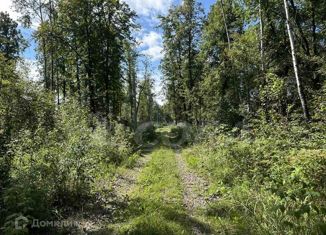 Продам земельный участок, 5 сот., садовое товарищество Сотовик