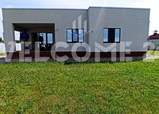 Продаю дом, 138 м2, село Зелёная Поляна, Привольная улица, 13