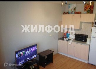 Продам квартиру студию, 23.3 м2, Новосибирск, улица Дмитрия Донского, 24/1, улица Дмитрия Донского