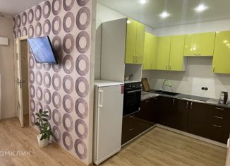 Продажа 1-комнатной квартиры, 45 м2, Иркутск, Байкальская улица, 236Б/2, ЖК Нижняя Лисиха 2