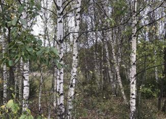 Продаю участок, 12 сот., деревня Шапкино, деревня Шапкино, 14