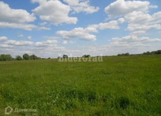 Продам участок, 2600 сот., деревня Коромыслово