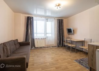 Продается квартира студия, 24.3 м2, Мурино, проспект Авиаторов Балтики, 7, ЖК Виктория