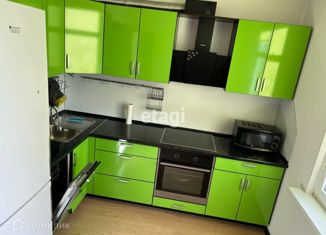 Аренда 2-комнатной квартиры, 50 м2, Санкт-Петербург, проспект Энергетиков, 9к1, ЖК Зималето