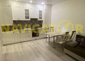 Сдам 3-ком. квартиру, 62 м2, Уфа, улица Даяна Мурзина, 11, жилой район Цветы Башкирии