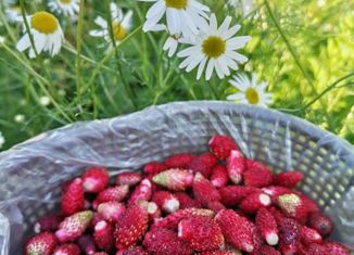 Продаю дом, 16 м2, рабочий посёлок Жатай