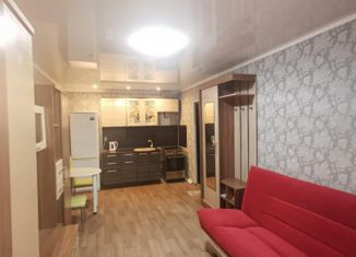 1-комнатная квартира на продажу, 24 м2, Елизово, улица Чкалова, 24